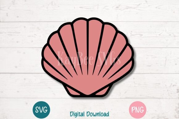 Download Scallop Sea Shell - Scallop Collection