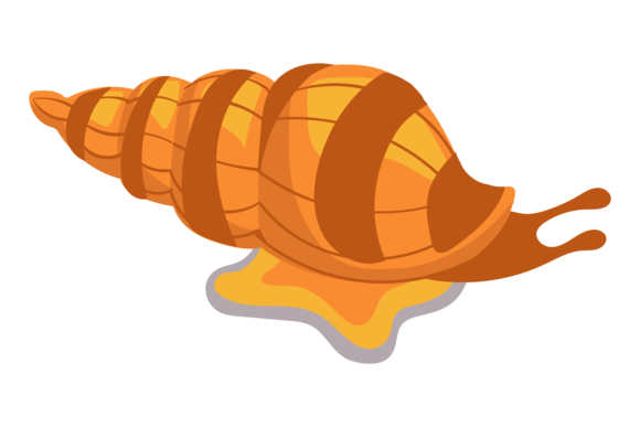 Download Snail Cartoon Icon. Spiral Mollusk Shell - Mollusk Collection