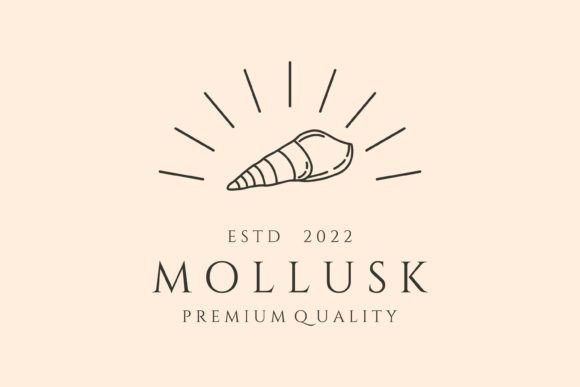 Download Mollusk and Sunburst Line Art Logo - Premium Resources